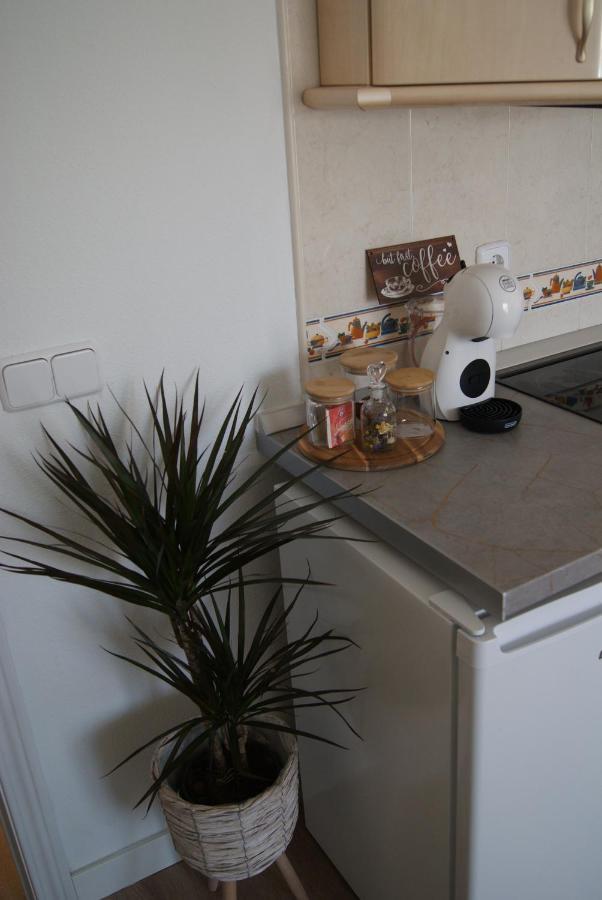 Apartamento Penas Blancas, Junto A Ruta De Los Cahorros, Monachil. Εξωτερικό φωτογραφία